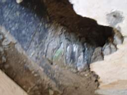 coolross 2590.jpg